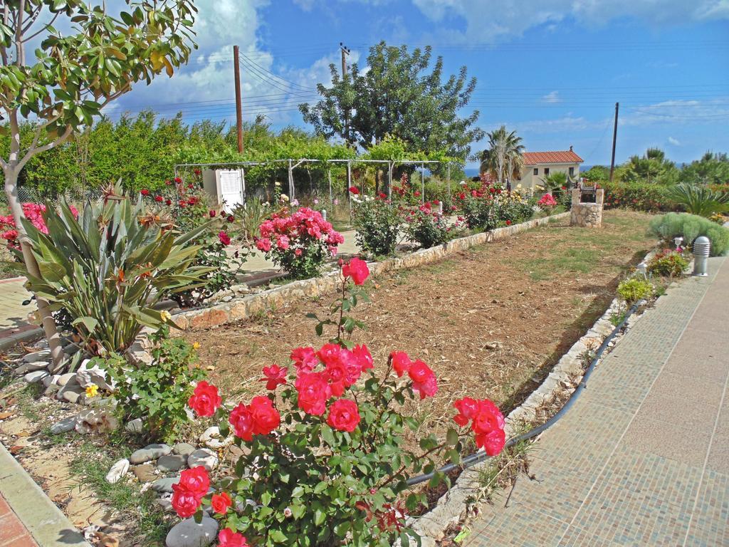 Eliofos Luxury Villa Polis Luaran gambar