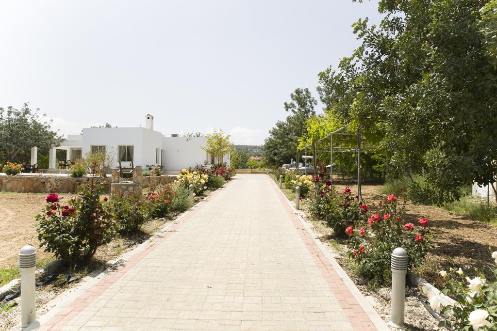 Eliofos Luxury Villa Polis Luaran gambar